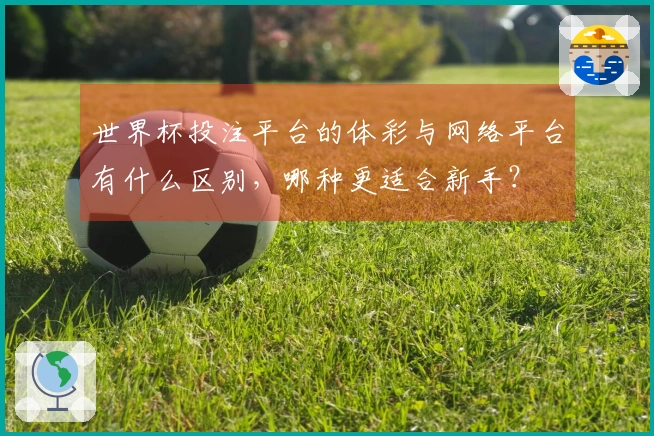 世界杯投注平台的体彩与网络平台有什么区别，哪种更适合新手？