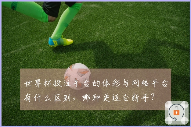 世界杯投注平台的体彩与网络平台有什么区别，哪种更适合新手？